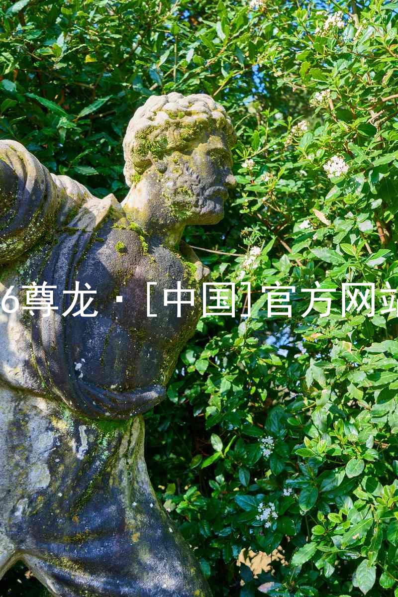 z6尊龙·[中国]官方网站