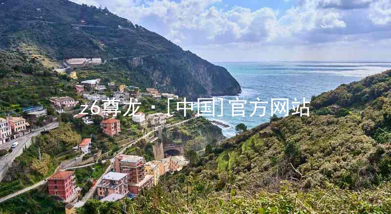 z6尊龙·[中国]官方网站